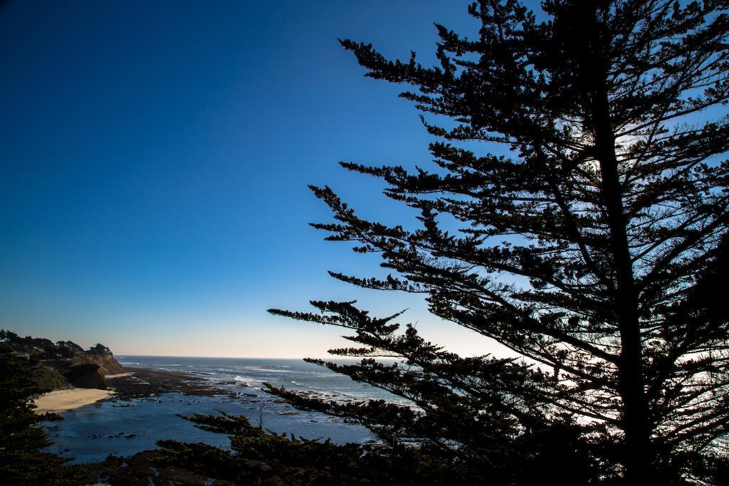 Seal Cove Inn Moss Beach ภายนอก รูปภาพ