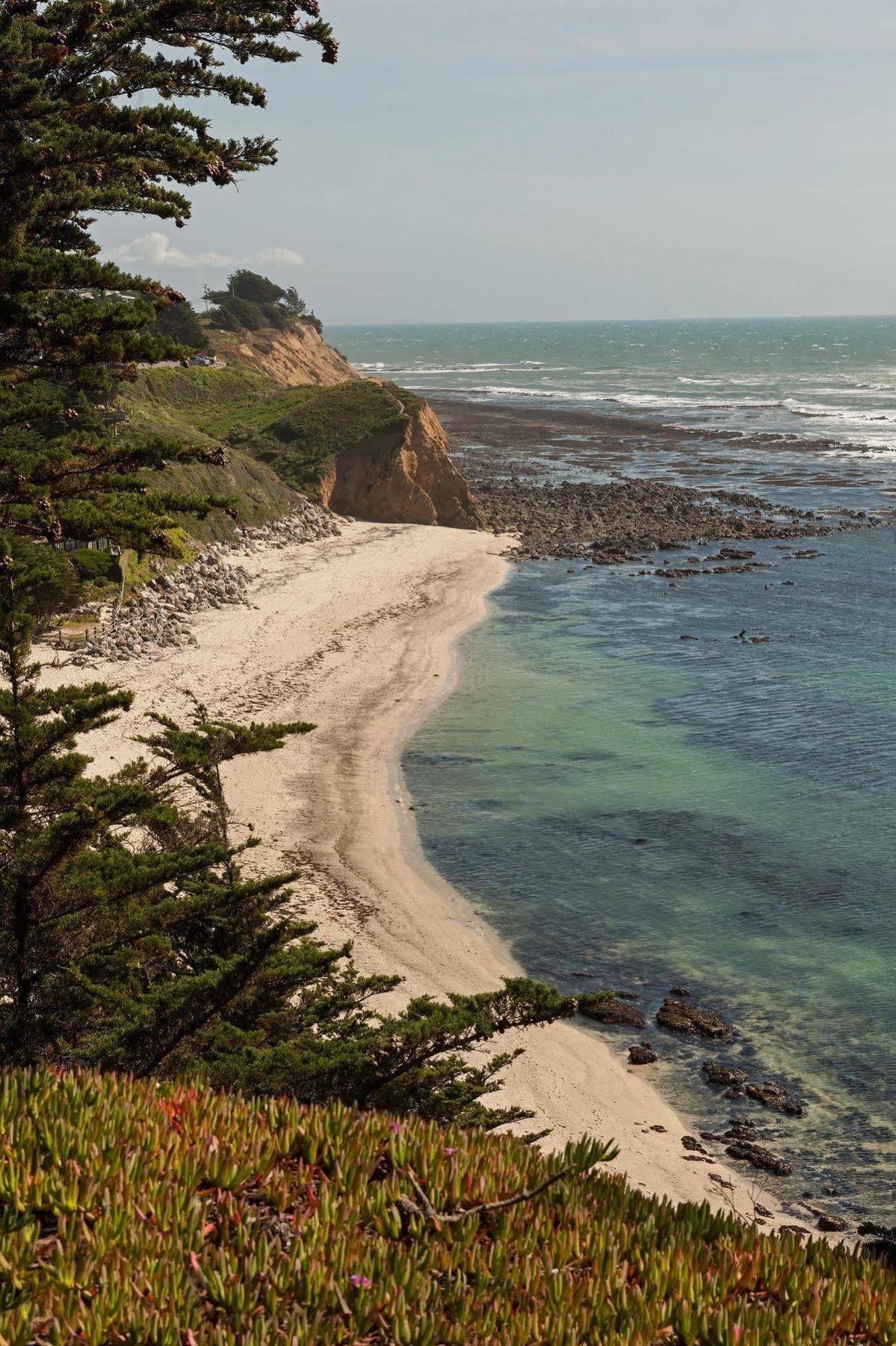 Seal Cove Inn Moss Beach ภายนอก รูปภาพ